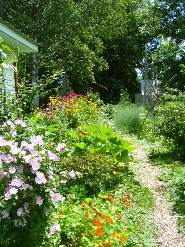 edible forest garden, perennial and annual polycultures